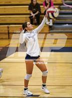 Photo from the gallery "Empire @ Cienega"