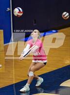 Photo from the gallery "Empire @ Cienega"