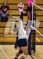 Photo from the gallery "Empire @ Cienega"