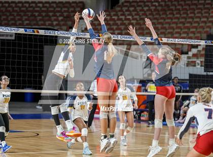 Thumbnail 3 in Phoenix Country Day vs. Scottsdale Christian Academy (AIA-2A Final) photogallery.
