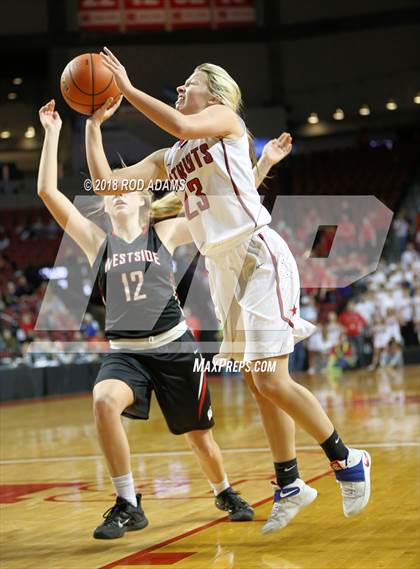Thumbnail 1 in Millard South vs. Omaha Westside (NSAA Class A Final)  photogallery.