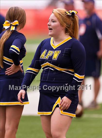 Thumbnail 1 in Pulaski vs. Altmar-Parish-Williamstown (Syracuse Kickoff Classic) photogallery.