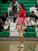 Photo from the gallery "Cholla @ Amphitheater"