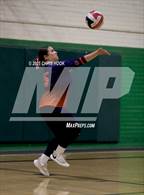 Photo from the gallery "Cholla @ Amphitheater"