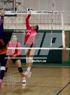 Photo from the gallery "Cholla @ Amphitheater"