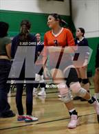 Photo from the gallery "Cholla @ Amphitheater"