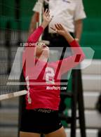 Photo from the gallery "Cholla @ Amphitheater"