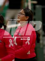 Photo from the gallery "Cholla @ Amphitheater"