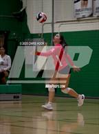 Photo from the gallery "Cholla @ Amphitheater"