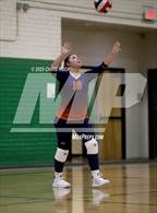 Photo from the gallery "Cholla @ Amphitheater"