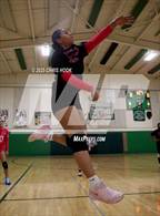 Photo from the gallery "Cholla @ Amphitheater"