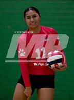 Photo from the gallery "Cholla @ Amphitheater"