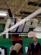 Photo from the gallery "Cholla @ Amphitheater"