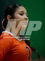 Photo from the gallery "Cholla @ Amphitheater"