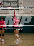 Photo from the gallery "Cholla @ Amphitheater"