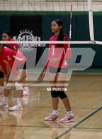 Photo from the gallery "Cholla @ Amphitheater"