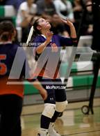 Photo from the gallery "Cholla @ Amphitheater"