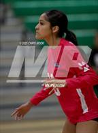 Photo from the gallery "Cholla @ Amphitheater"