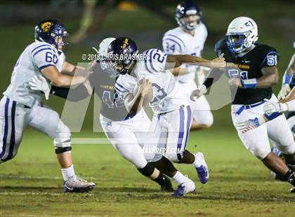 Thumbnail 3 in Daphne @ Fairhope photogallery.