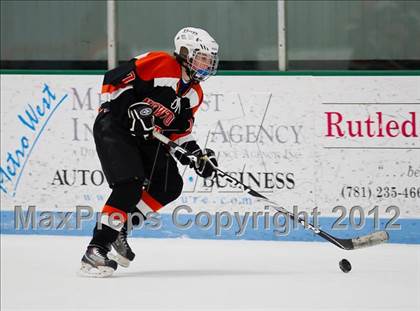 Thumbnail 1 in Newton North @ Needham photogallery.