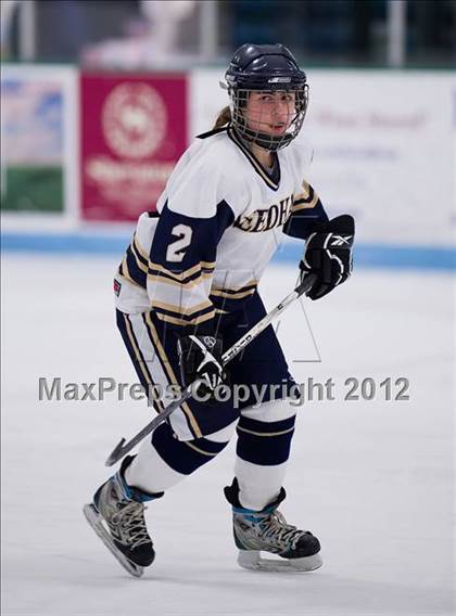 Thumbnail 3 in Newton North @ Needham photogallery.