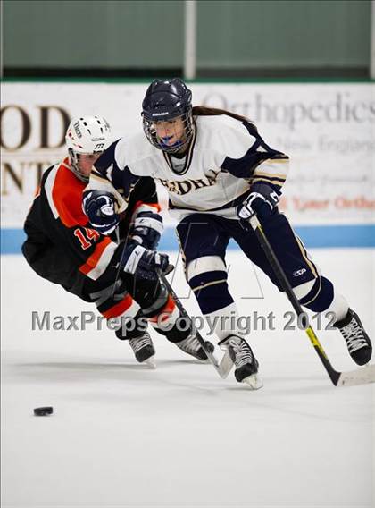 Thumbnail 2 in Newton North @ Needham photogallery.
