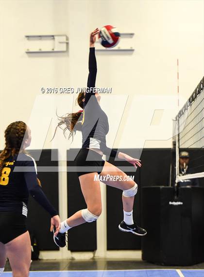 Thumbnail 1 in Menlo-Atherton vs. Gregori (Tiger Cup Invitational) photogallery.