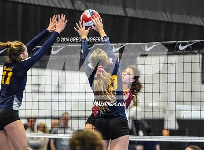 Thumbnail 3 in Menlo-Atherton vs. Gregori (Tiger Cup Invitational) photogallery.