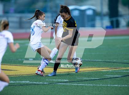 Thumbnail 3 in Los Alamitos @ Temecula Valley (CIF D1 State Semifinal) photogallery.