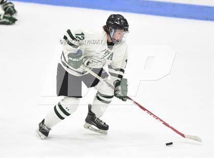Thumbnail 3 in Ridgefield vs. Northwest Catholic (CIAC DI Final) photogallery.