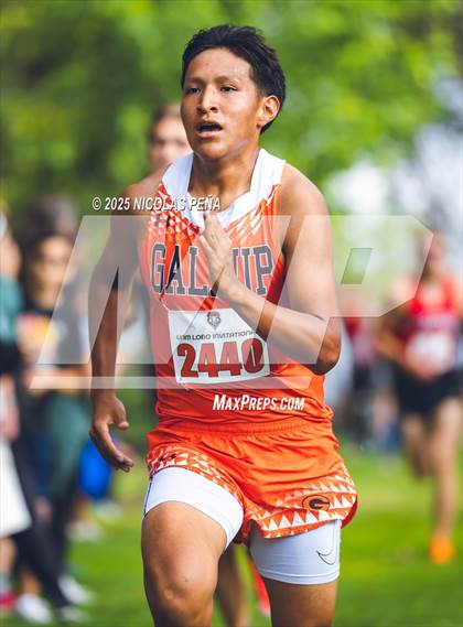 Thumbnail 1 in University of New Mexico Lobo Invitational photogallery.