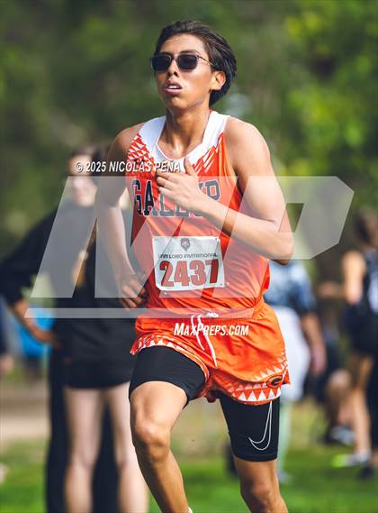 Thumbnail 1 in University of New Mexico Lobo Invitational photogallery.