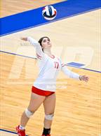 Photo from the gallery "Holmes @ Taft"