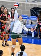 Photo from the gallery "Holmes @ Taft"