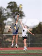 Photo from the gallery "Poudre School District @ Castle View"