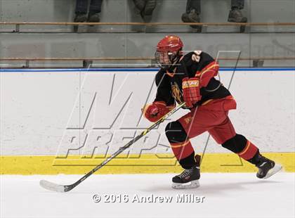 Thumbnail 3 in Williamsville East @ St. Joseph's Collegiate Institute photogallery.