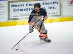 Photo from the gallery "Tenafly @ Morris Knolls"