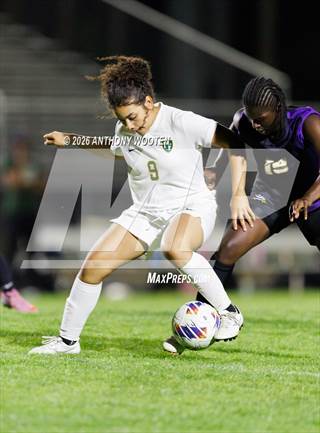 Pine Forest @ Jack Britt