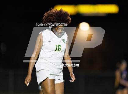 Thumbnail 2 in Pine Forest @ Jack Britt photogallery.