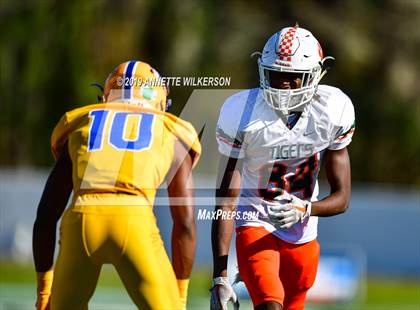 Thumbnail 2 in Jones vs. Northwestern (FHSAA 5A State Final)  photogallery.