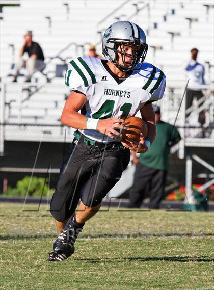 Thumbnail 3 in Carter @  South-Doyle photogallery.