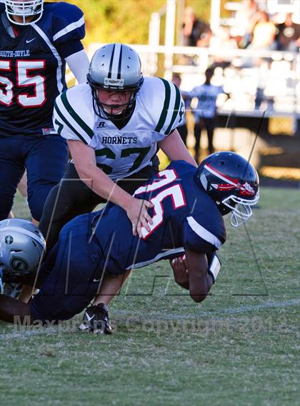 Thumbnail 3 in Carter @  South-Doyle photogallery.
