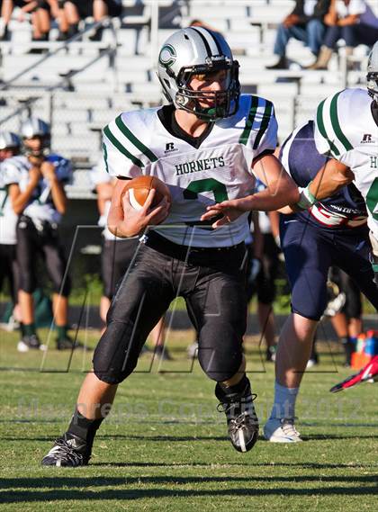 Thumbnail 3 in Carter @  South-Doyle photogallery.