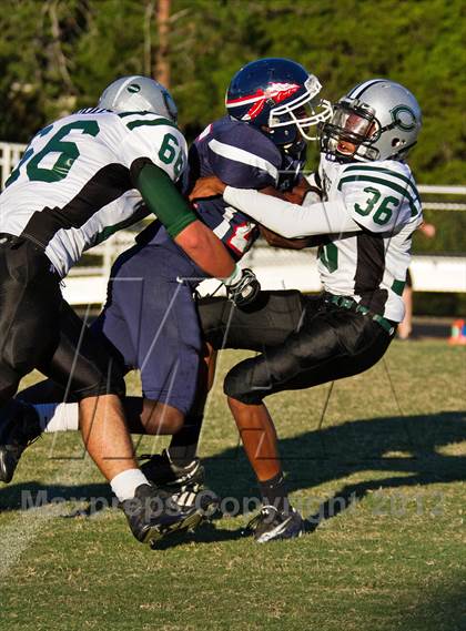 Thumbnail 2 in Carter @  South-Doyle photogallery.