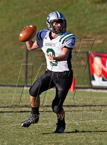 Thumbnail 2 in Carter @  South-Doyle photogallery.