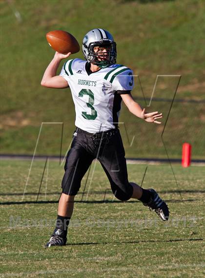 Thumbnail 3 in Carter @  South-Doyle photogallery.