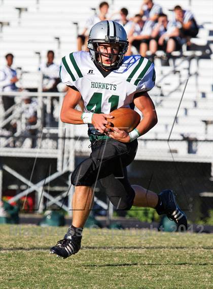 Thumbnail 1 in Carter @  South-Doyle photogallery.