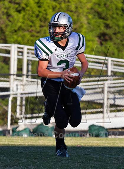 Thumbnail 1 in Carter @  South-Doyle photogallery.