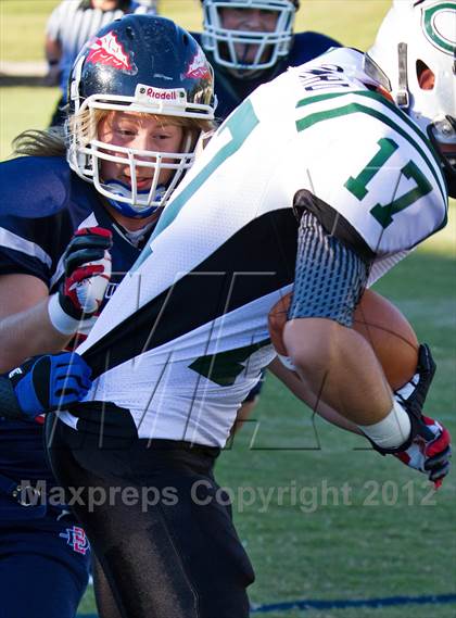 Thumbnail 1 in Carter @  South-Doyle photogallery.