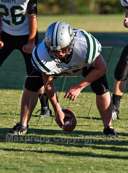 Thumbnail 1 in Carter @  South-Doyle photogallery.